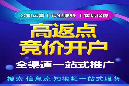 某电商平台sem竞价运营的突破与挑战